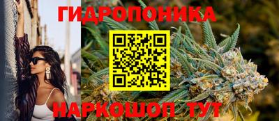 a pvp Краснознаменск