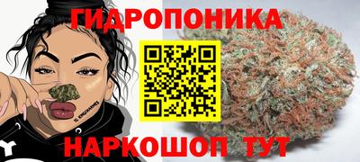 a pvp Краснознаменск